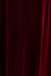 Fabric Swatch - Tatiana Velvet | Merlot